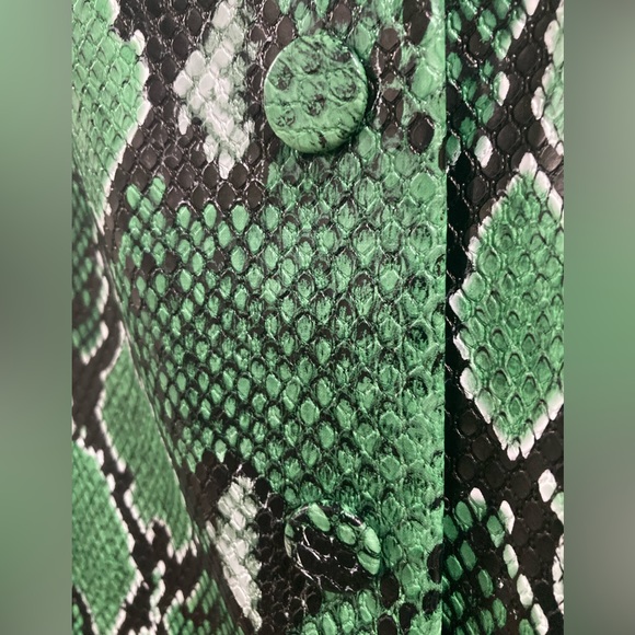 BEAUTIFUL ZARA GREEN VEGAN LEATHER SNAKE PRINT BUTTON DOWN A-LINE SKIRT LG NWT - Picture 8 of 9